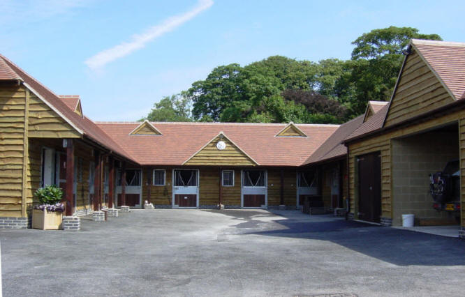 Listed extension and new build